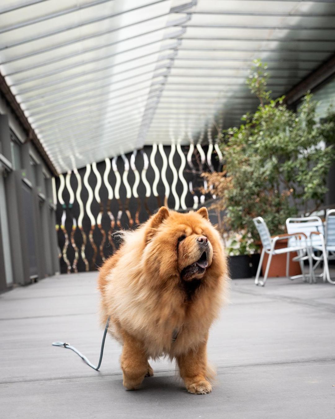Greulich Design & Boutique Hotel Zürih Dış mekan fotoğraf