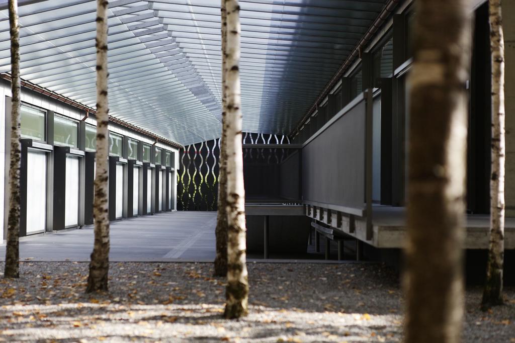Greulich Design & Boutique Hotel Zürih Dış mekan fotoğraf