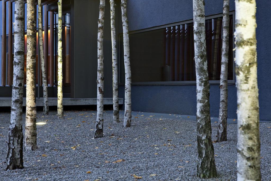 Greulich Design & Boutique Hotel Zürih Dış mekan fotoğraf